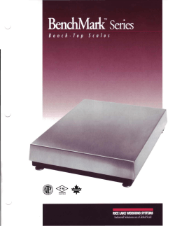 Brochure - Meridian Scale