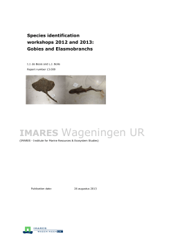 imares - Wageningen UR E-depot
