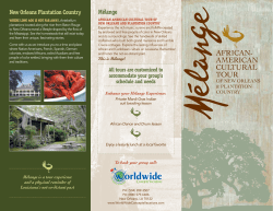 AfricAn- AmericAn culturAl tour