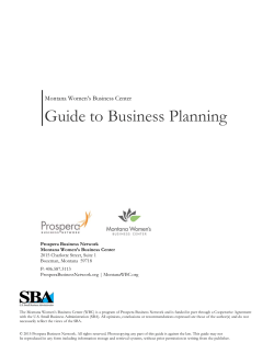 Montana WBC Business Plan Guide