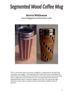 Segmented Coffee Mug - Association of Revolutionary Turners