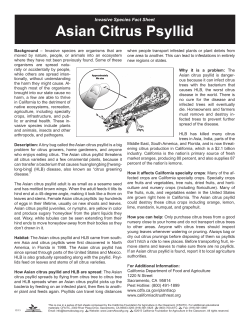 Asian Citrus Psyllid - California Foundation for Agriculture in the