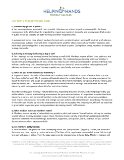 Life With a Monkey Helper FAQs