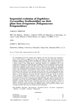 Sequential evolution of Euphilotes