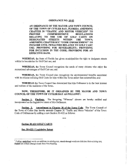 ordinance no. 10-03 an ordinance of the mayor