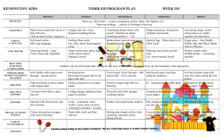 Toddler Weekly Program Plan