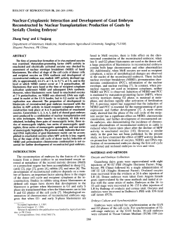 Nuclear-Cytoplasmic Interaction and Development of Goat Embryos