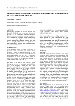 Observations on a population of adders, slow