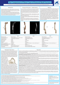 Introduction Fractures of the Femur &ndash; medical aspects Methods