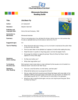 Old Black Fly - Minnesota Humanities Center