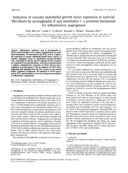 Induction of vascular endothelial growth factor expression in