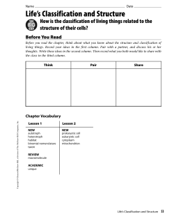 Chap. 5, Lesson 1 Worksheet