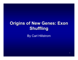 Origins of New Genes: Exon Shuffling