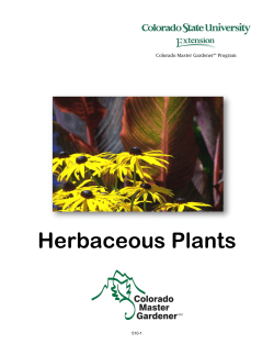 Herbaceous Plants - Colorado State University Extension