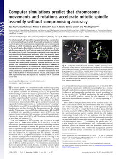 preprint in pdf format - Courant Institute of Mathematical Sciences
