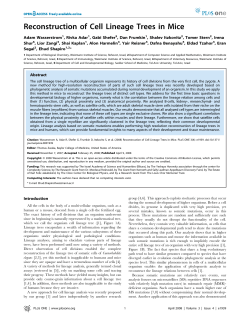 Reconstruction of Cell Lineage Trees in Mice