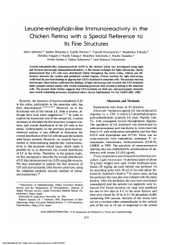 Leucine-enkephalin-like immunoreactivity in the chicken
