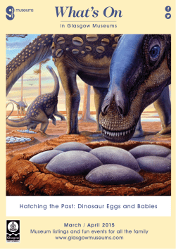 Hatching the Past: Dinosaur Eggs and Babies