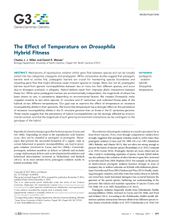The Effect of Temperature on Drosophila Hybrid Fitness