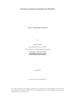 A Survey of Mogadishu`s Economy
