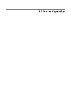 3.7 Marine Vegetation - MITT