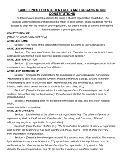 Guidelines for creating the organization`s constitution