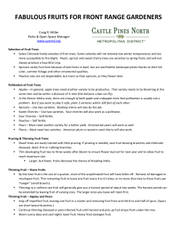 FABULOUS FRUITS FOR FRONT RANGE GARDENERS