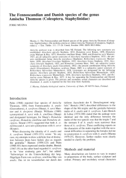The Fennoscandian and Danish species of the genus Amischa