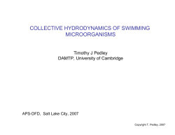 collective hydrodynamics of swimming microorganisms