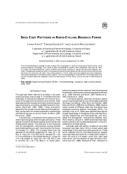 SEED COAT PATTERNS IN RAPID