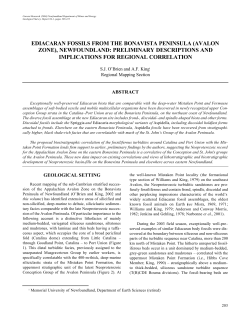 EDIACARAN FOSSILS FROM THE BONAVISTA PENINSULA