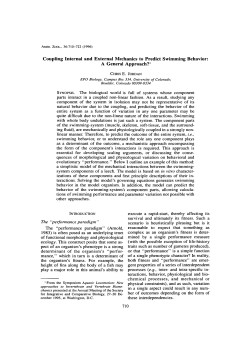 Coupling Internal and External Mechanics to Predict Swimming