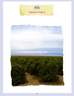 Fresh Citrus - Duda Farm Fresh Foods