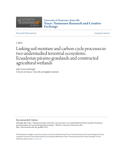 Linking soil moisture and carbon