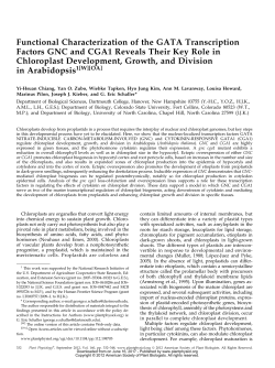 Functional Characterization of the GATA