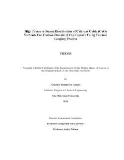 High Pressure Steam Reactivation of Calcium Oxide (CaO) Sorbents
