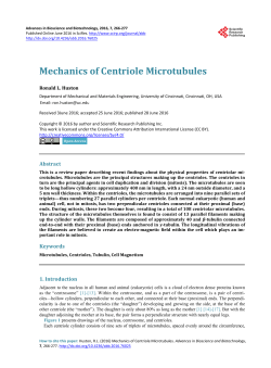 Mechanics of Centriole Microtubules