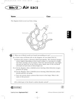 9541_b8c_1_fig.01 (Converted)-5