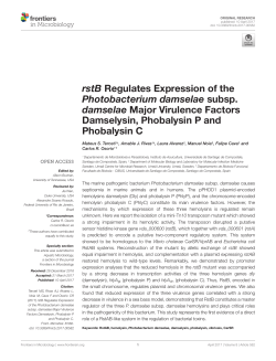 rstB Regulates Expression of the Photobacterium damselae subsp