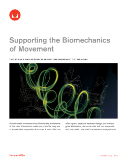 Solution Essay: Supporting the Biomechanics of