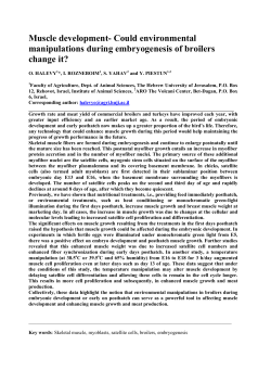 Muscle development- Could environmental manipulations
