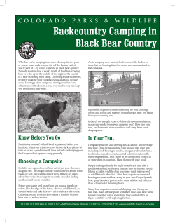 Backcountry Camping in Black Bear Country