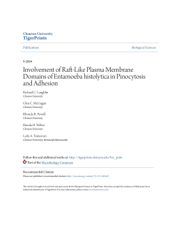 Involvement of Raft-Like Plasma Membrane Domains of