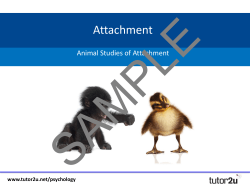 Animal Studies of Attachment