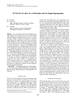 An Eocene Tar Spot on a Fossil Palm and Its Fungal Hyperparasite