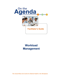 Workload Management - Workplace Strategies for