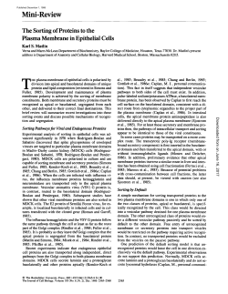 The sorting of proteins to the plasma membrane in epithelial cells.