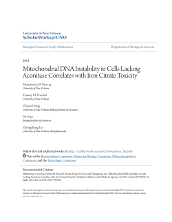 Mitochondrial DNA Instability in Cells Lacking Aconitase Correlates
