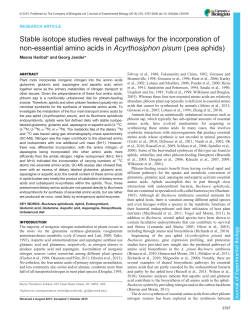 Stable isotope studies reveal pathways for the incorporation of non