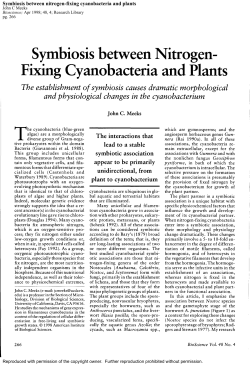 Symbiosis between nitrogen-fixing cyanobacteria and plants